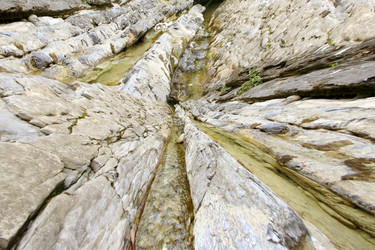 Similar image 630150