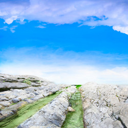 Similar image 630156