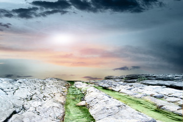 Similar image 630158