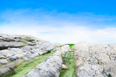 Similar image 630159