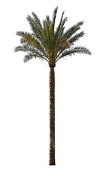 Similar image 630194