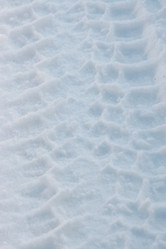 Similar image 630198