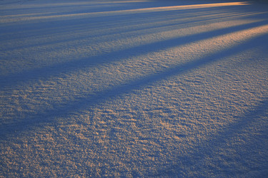 Similar image 630201