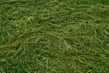 Similar image 630210