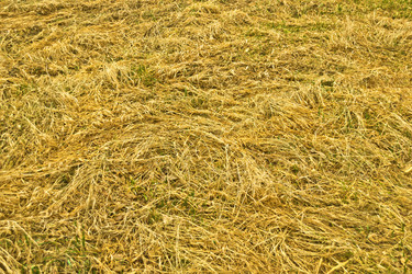 Similar image 630212