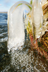 Similar image 630213