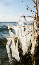 Similar image 630214