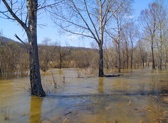 Similar image 630217