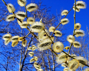 Similar image 630223