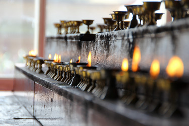 Similar image 630226