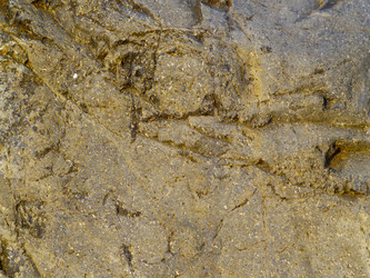 Similar image 630229