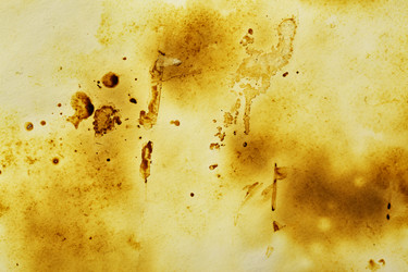 Similar image 630273