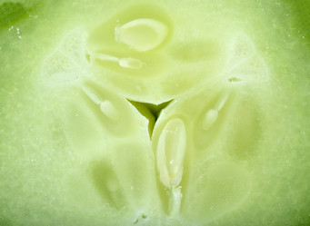 Similar image 630290