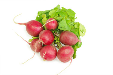 Similar image 630309