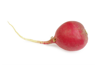 Similar image 630312