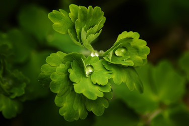 Similar image 630417