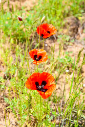 Similar image 630438