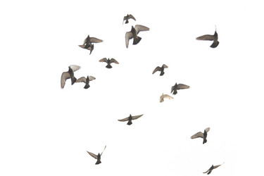 Similar image 630478