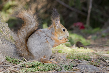 Similar image 630501