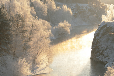 Similar image 630531