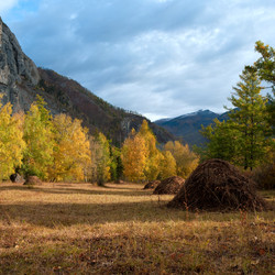 Similar image 630573