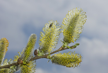 Similar image 630599