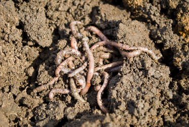 Similar image 630618