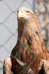 Similar image 630686