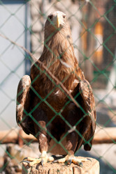 Similar image 630687