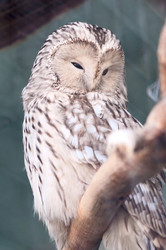 Similar image 630701