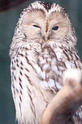 Similar image 630703