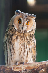 Similar image 630706