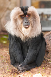 Similar image 630720