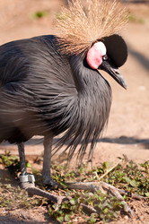 Similar image 630732