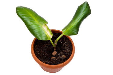 Similar image 630791