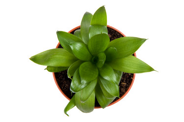 Similar image 630824