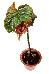 Similar image 630827