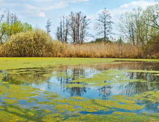 Similar image 630873