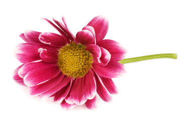 Similar image 630924