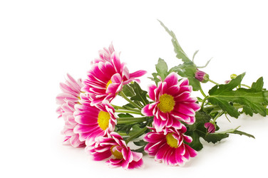 Similar image 630927