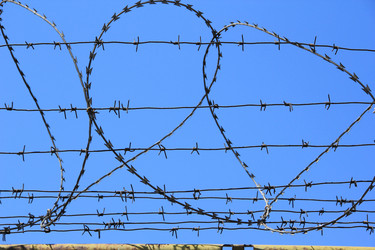 Similar image 630937