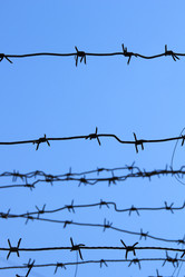 Similar image 630941