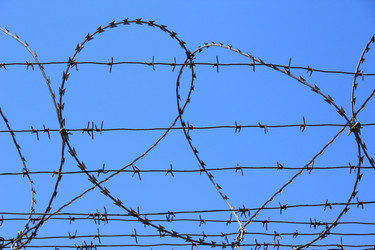 Similar image 630943