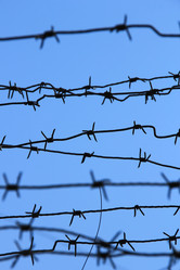 Similar image 630948