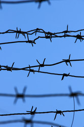 Similar image 630951