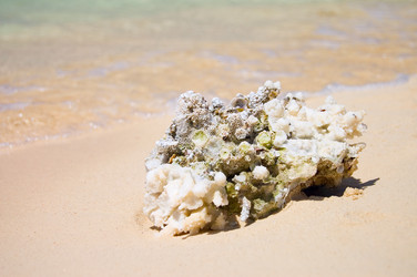 Similar image 630958