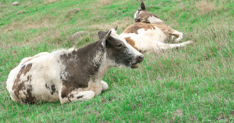 Similar image 631041