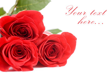 Similar image 631045