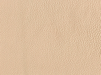 Similar image 631060