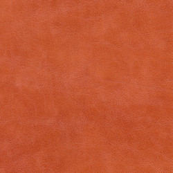 Similar image 631061